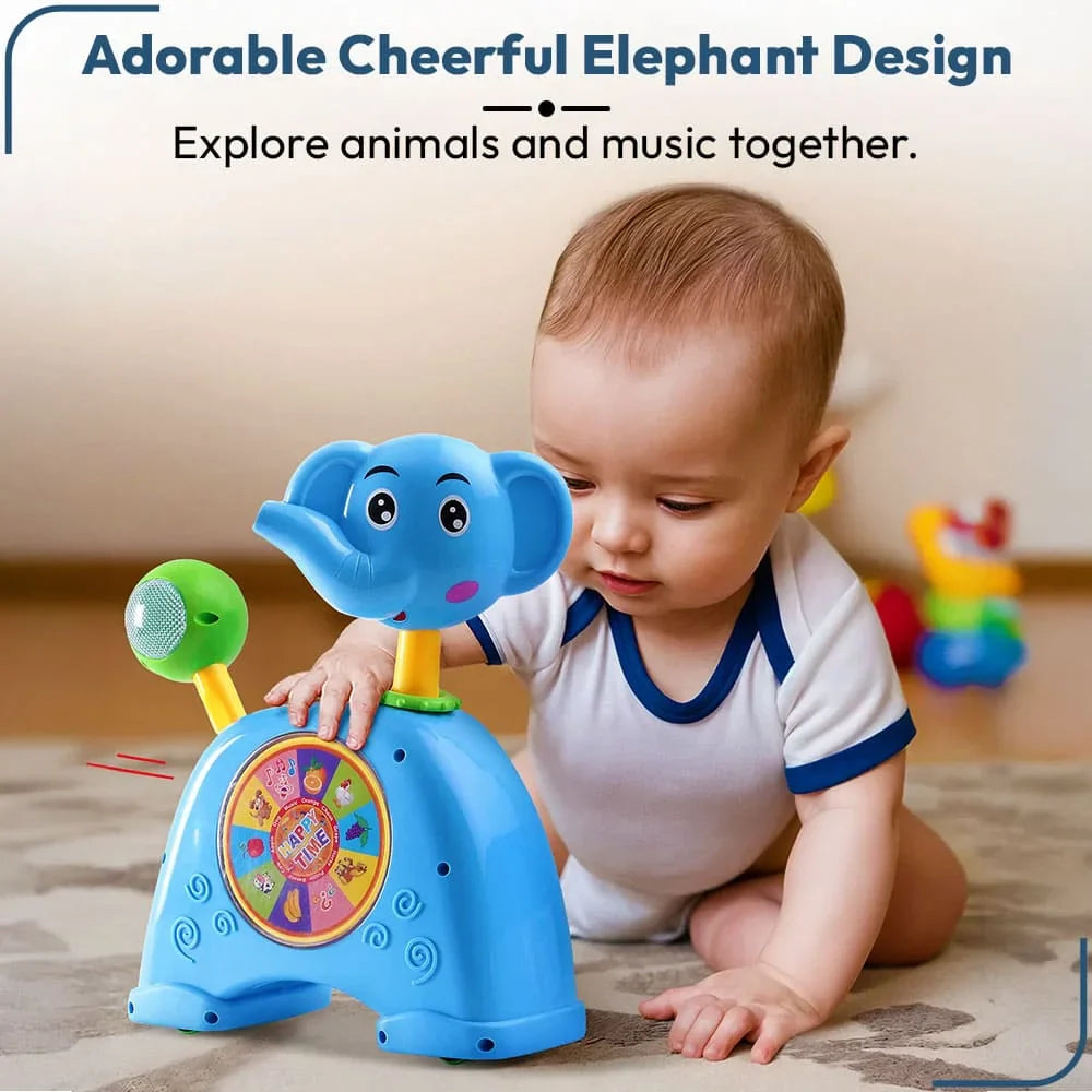 Kids Premium Musical Toys